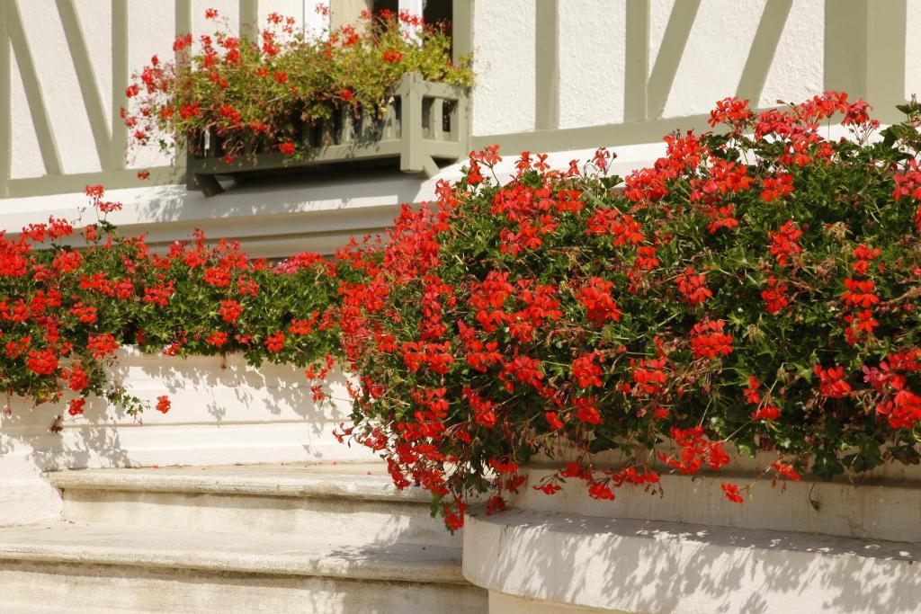 도빌 Manoir De Benerville B&B 외부 사진
