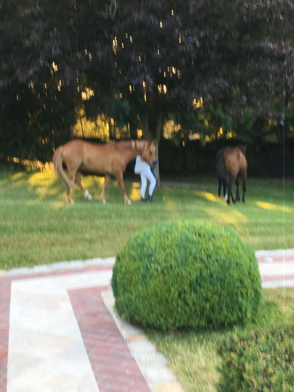 도빌 Manoir De Benerville B&B 외부 사진